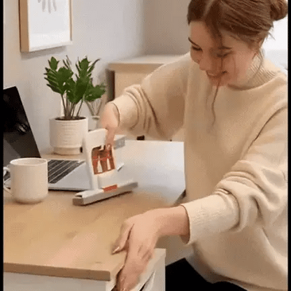 Multi-Functional Mini Mop